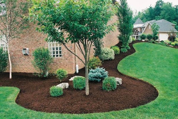 using healthy soil and proper drainage in your landscape design in Atlanta